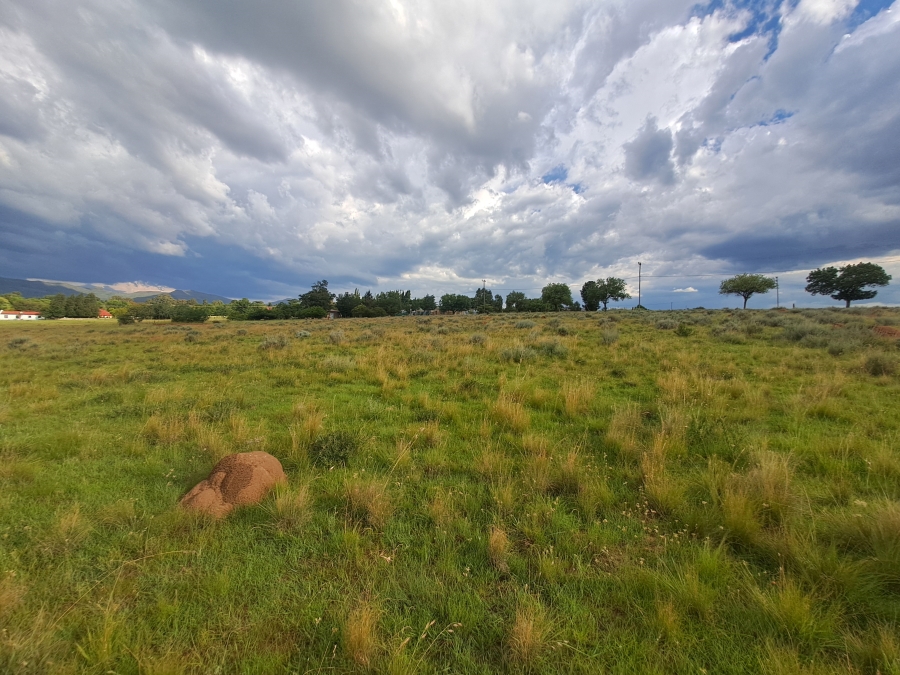 0 Bedroom Property for Sale in Rosendal Free State